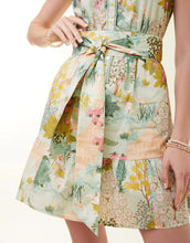 Load image into Gallery viewer, SPARTINA 449 - ABIGAIL DRESS - ENCLAVE CHINOISERIE
