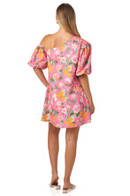 Load image into Gallery viewer, CROSBY BY MOLLIE BURCH RALEIGH DRESS
